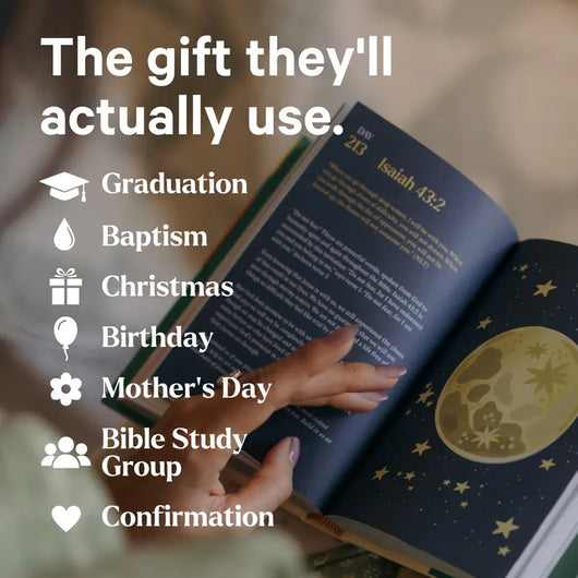 The 365 Day Bible Book