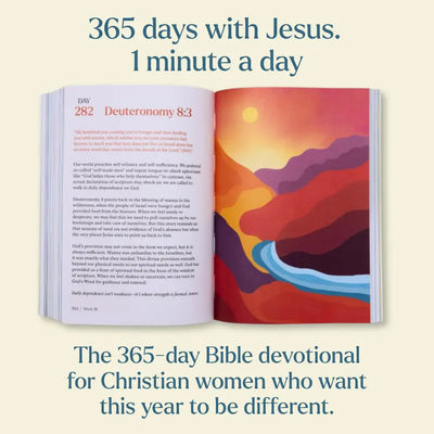 The 365 Day Bible Book