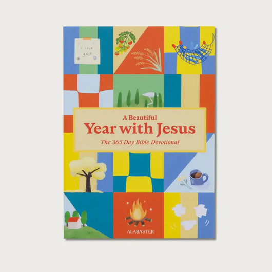 The 365 Day Bible Book