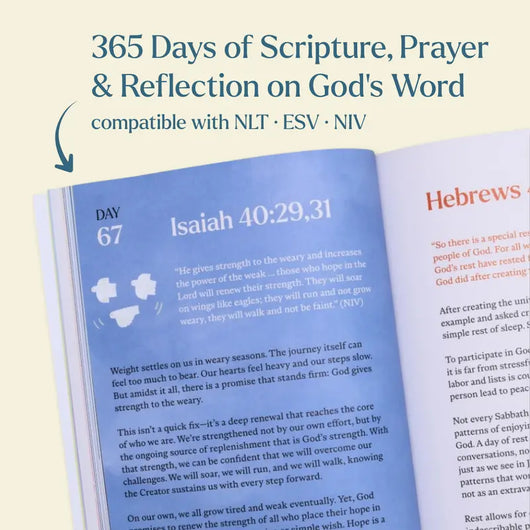 The 365 Day Bible Book